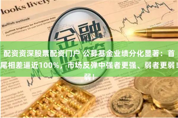 配资资深股票配资门户 公募基金业绩分化显著：首尾相差逼近100%，市场反弹中强者更强、弱者更弱！