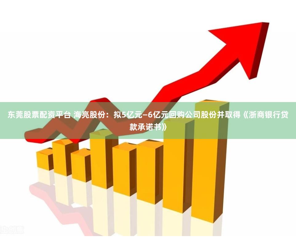 东莞股票配资平台 海亮股份：拟5亿元—6亿元回购公司股份并取得《浙商银行贷款承诺书》
