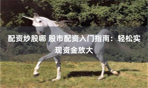 配资炒股哪 股市配资入门指南：轻松实现资金放大