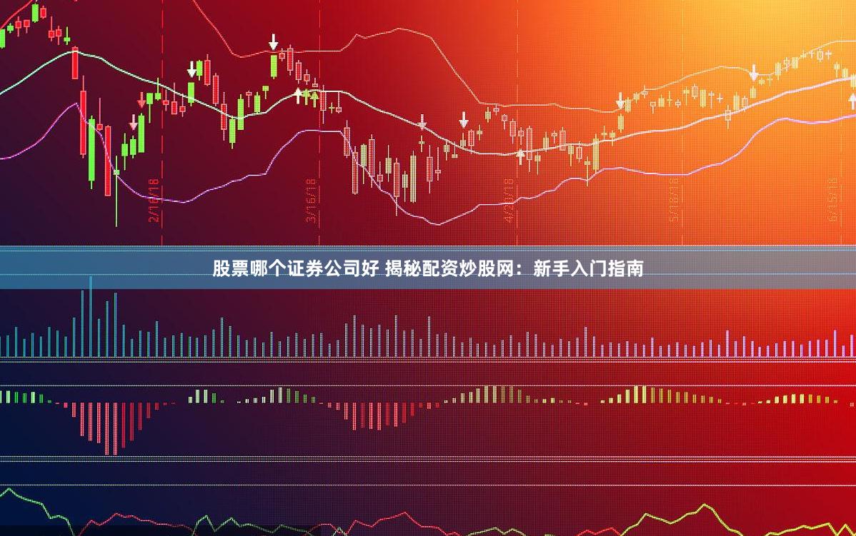 股票哪个证券公司好 揭秘配资炒股网：新手入门指南