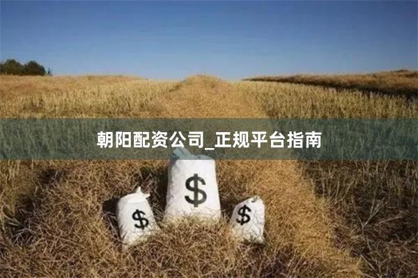 朝阳配资公司_正规平台指南
