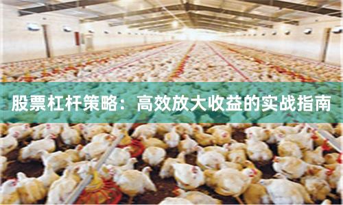 股票杠杆策略：高效放大收益的实战指南